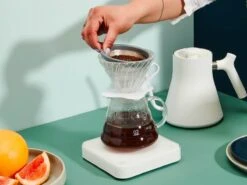 Able | Kone Mini Coffee Filter(Able Kone Mini Coffee Filter) -Cafuné Boutique KoneMini.8