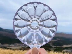 CAFEC | Tritan Flower Dripper - 2-4 Cup(Cafec Tritan Flower Dripper) -Cafuné Boutique cafec flower dripper clear lifestyle 4