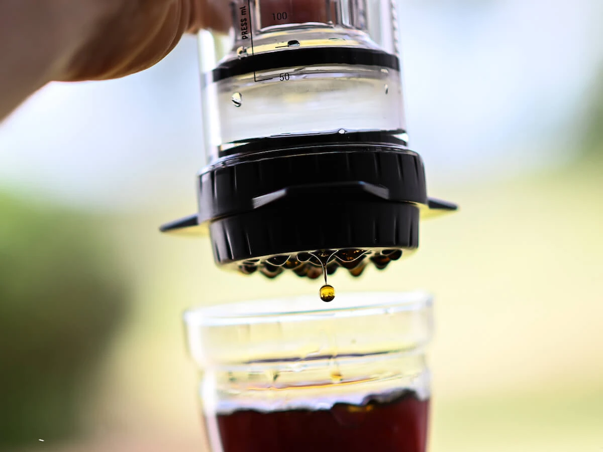 Delter | Coffee Press(Delter coffee press) Delter | Coffee Press(Delter Coffee Press) -Cafuné Boutique delter coffee press 8