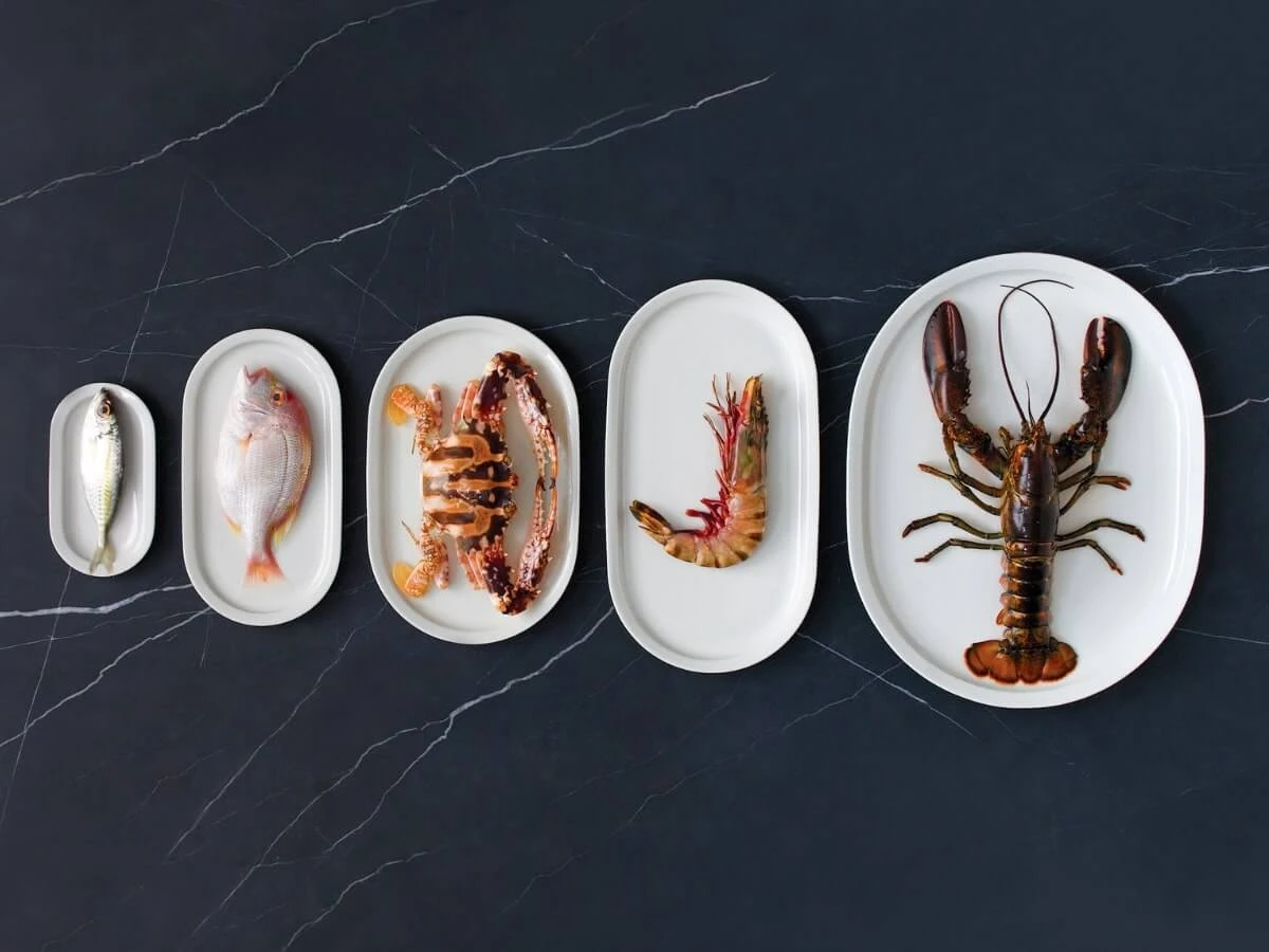 Loveramics | Er-Go! System 43cm Turkey Platter(Loveramics er go system 43cm turkey platter) Loveramics | Er-Go! System 43cm Turkey Platter(Loveramics Er Go System 43cm Turkey Platter) -Cafuné Boutique loveramics er go system white oval plate lifestyle.2