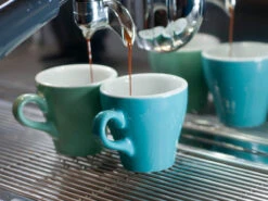 Loveramics | Tulip 280ml Latte Cup & Saucer(Loveramics Tulip 280ml Latte Cup Saucer) -Cafuné Boutique loveramics tulip lifestyle 2 cd4aeaf2 2d0d 4b8a ae3c 5276f731e72c